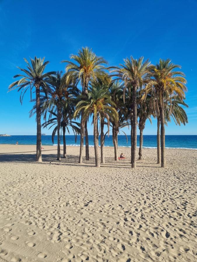 Appartamento Flamenco Penthouse Sea View & Swimming Pool Torrevieja Esterno foto