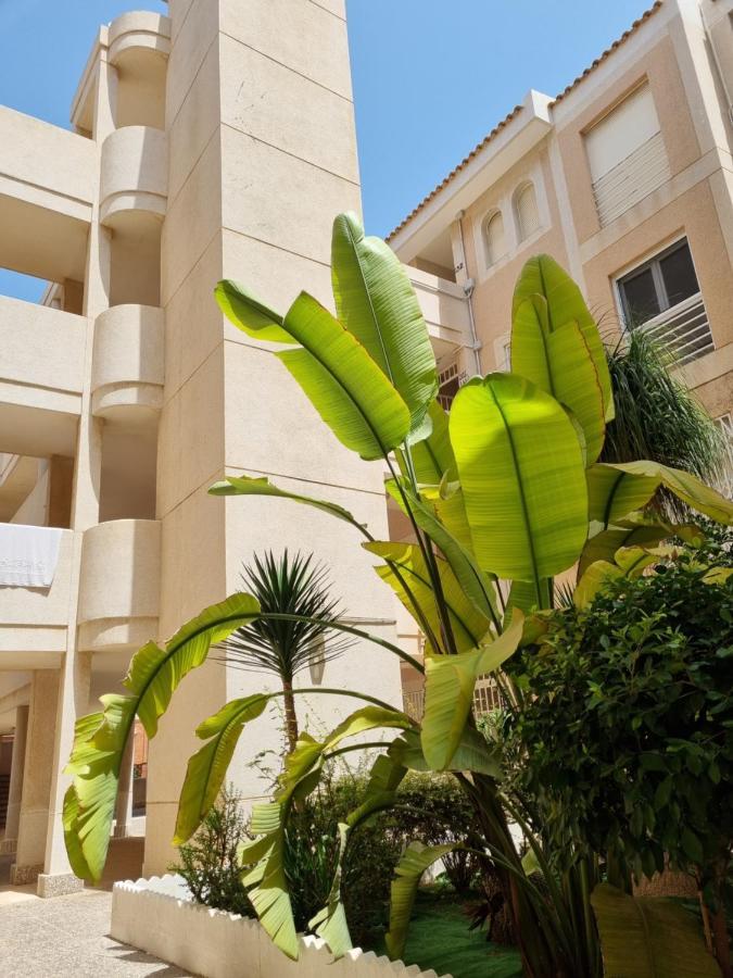 Appartamento Flamenco Penthouse Sea View & Swimming Pool Torrevieja Esterno foto