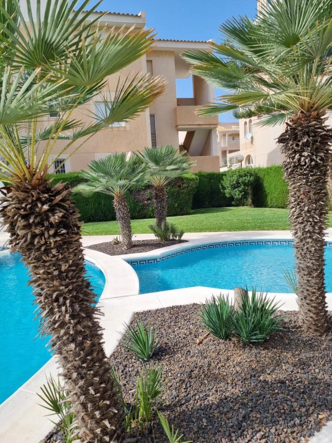 Appartamento Flamenco Penthouse Sea View & Swimming Pool Torrevieja Esterno foto