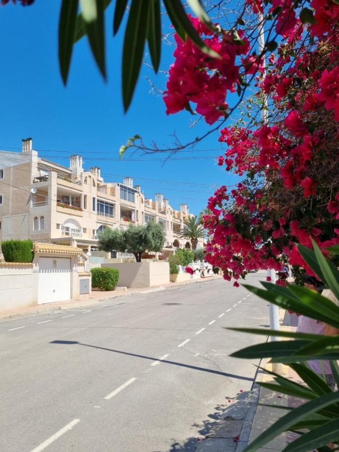 Appartamento Flamenco Penthouse Sea View & Swimming Pool Torrevieja Esterno foto